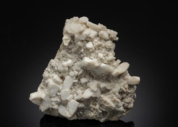 CC21095 specimen image