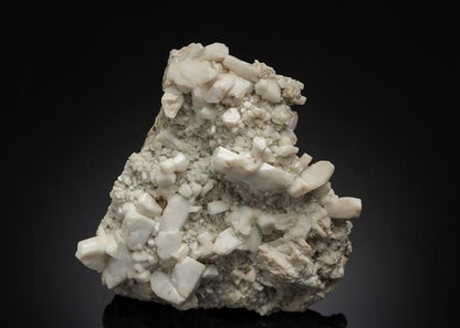 CC21095 specimen image