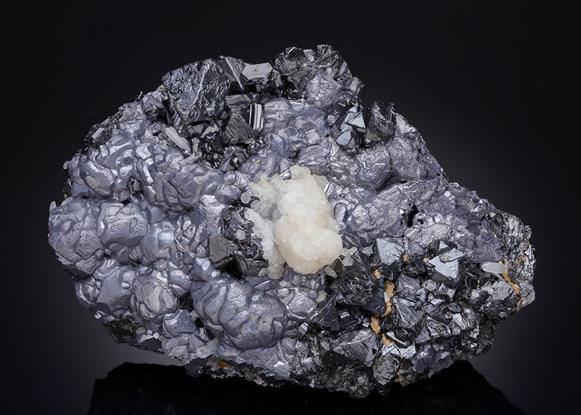 CC21098 specimen image