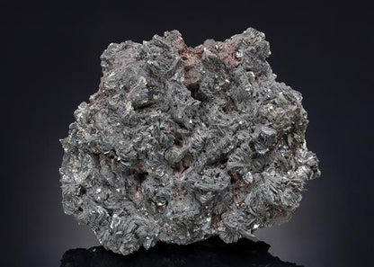 CC21106 specimen image