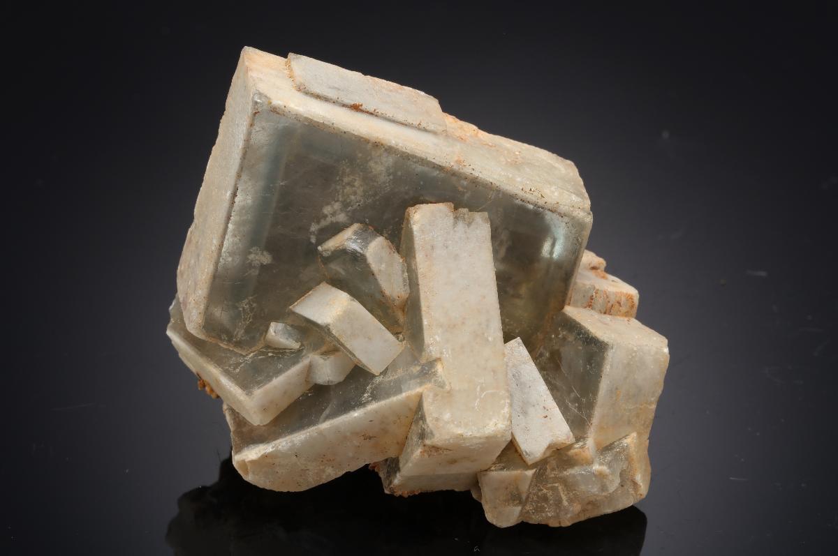 CC21107 specimen image