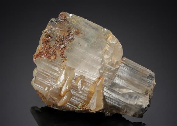 CC21108 specimen image