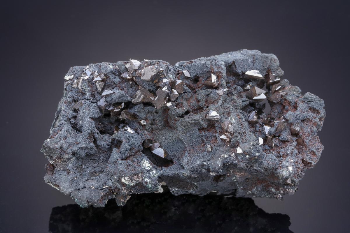 CC21116 specimen image