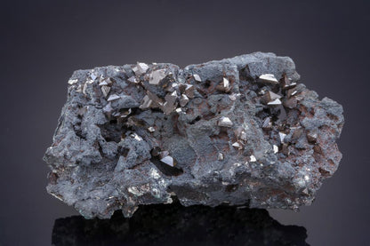 CC21116 specimen image