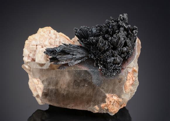 CC21117 specimen image