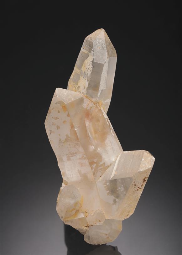 CC21118 specimen image