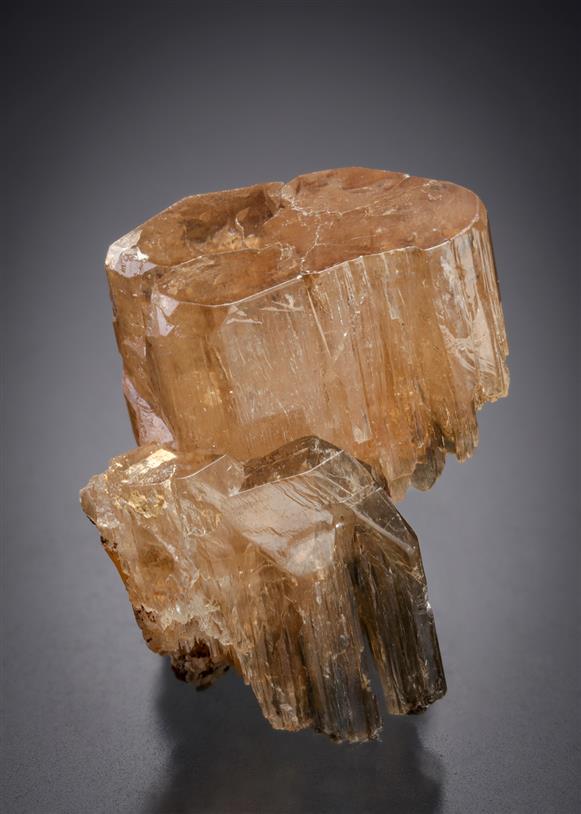 CC21120 specimen image