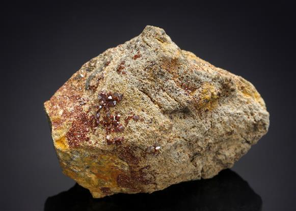 CC21122 specimen image