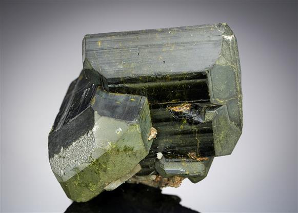 CC21124 specimen image