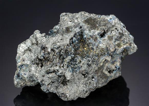 CC21130 specimen image