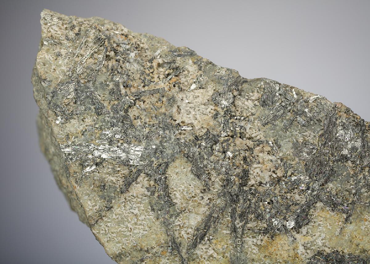 CC21134 specimen image