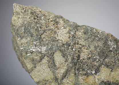 CC21134 specimen image
