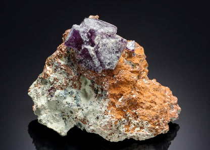 CC21143 specimen image
