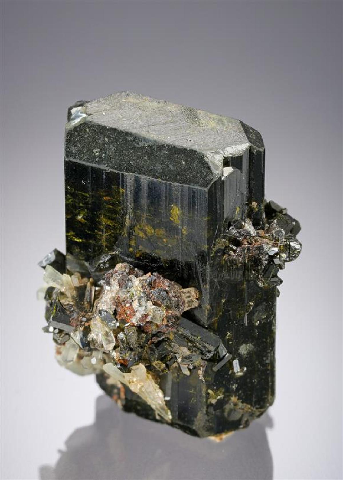 CC21150 specimen image