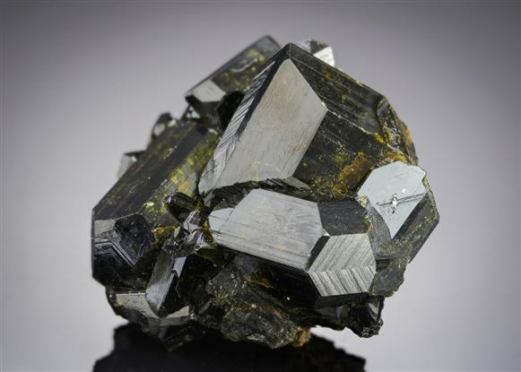 CC21152 specimen image