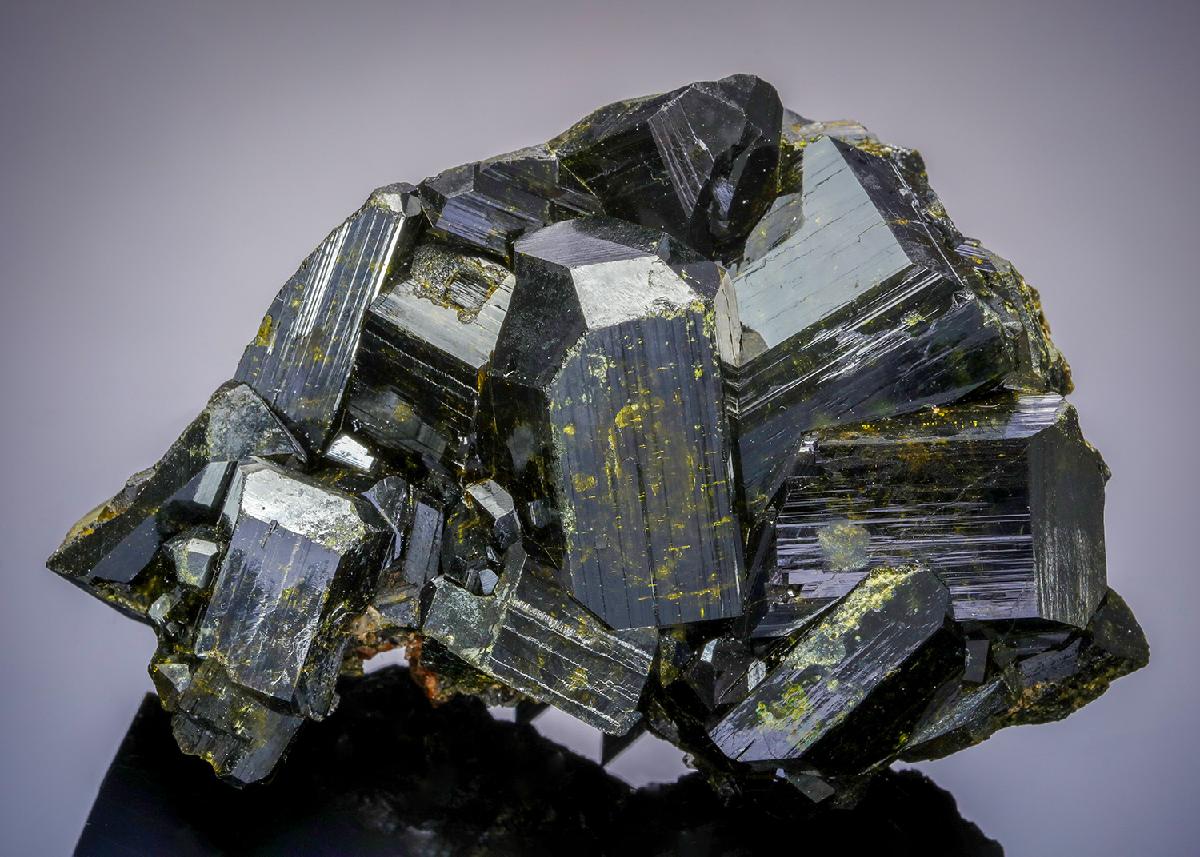 CC21155 specimen image
