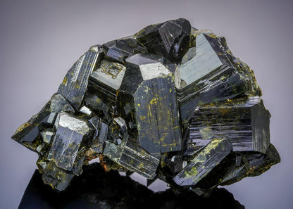 CC21155 specimen image