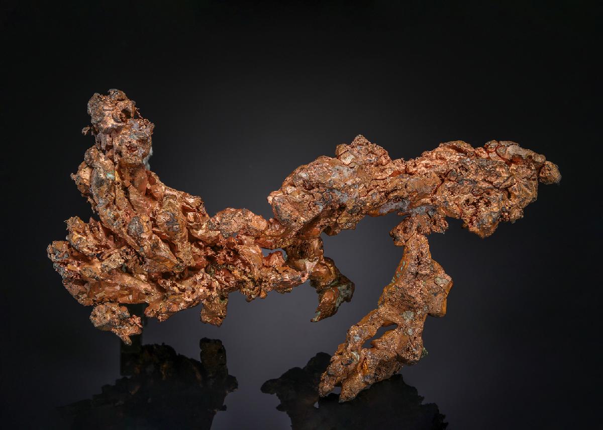 CC21159 specimen image