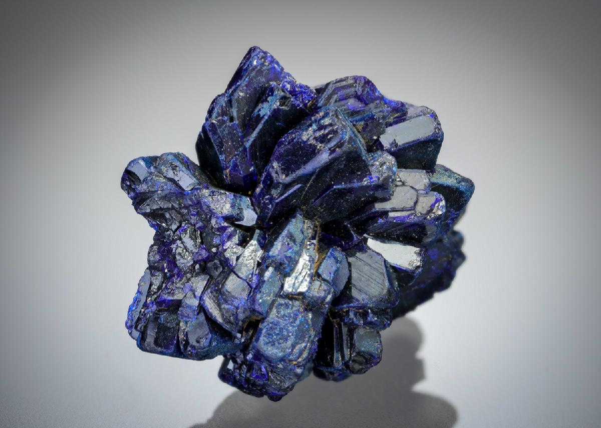 CC2117 specimen image