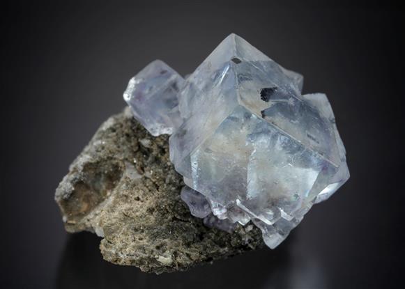 CC21173 specimen image