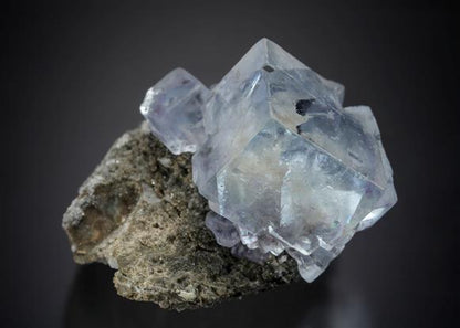 CC21173 specimen image