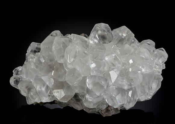 CC21176 specimen image