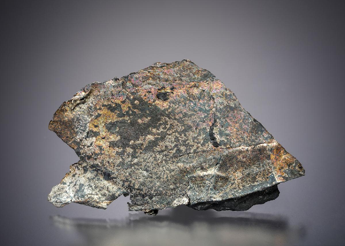CC21180 specimen image