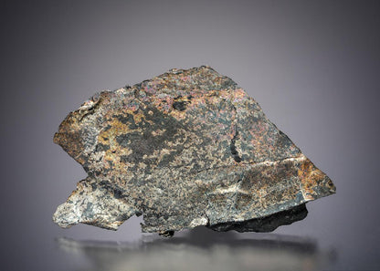 CC21180 specimen image