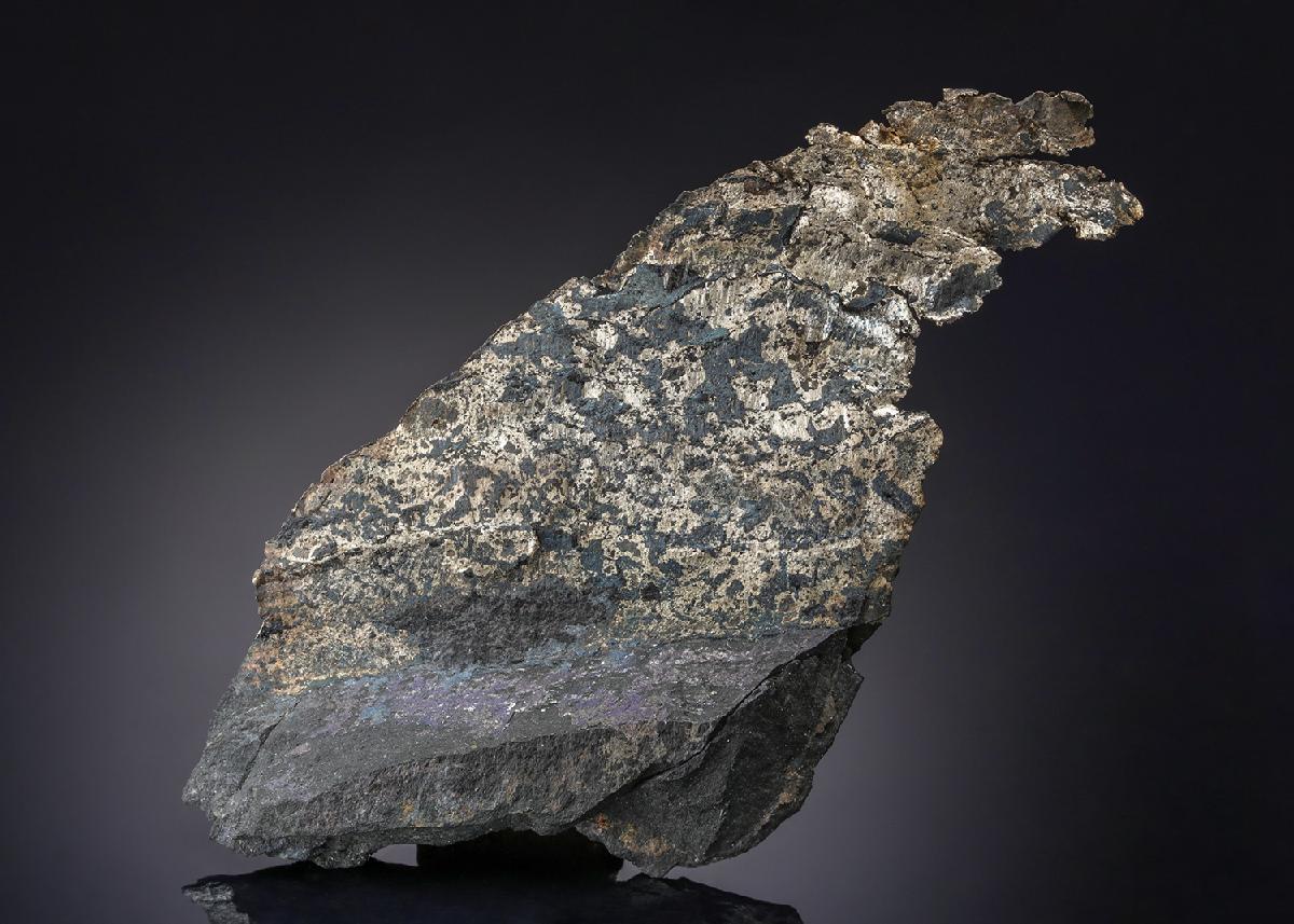 CC21181 specimen image
