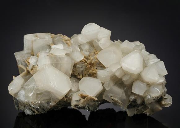 CC21184 specimen image