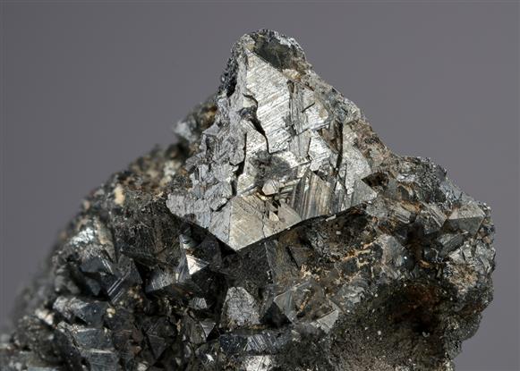 CC21196 specimen image