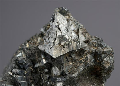 CC21196 specimen image
