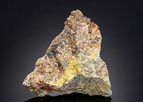 CC21197 specimen image