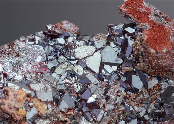 CC21202 specimen image