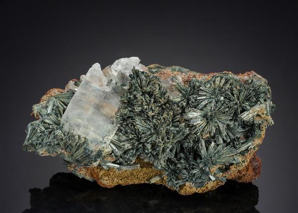 CC21204 specimen image