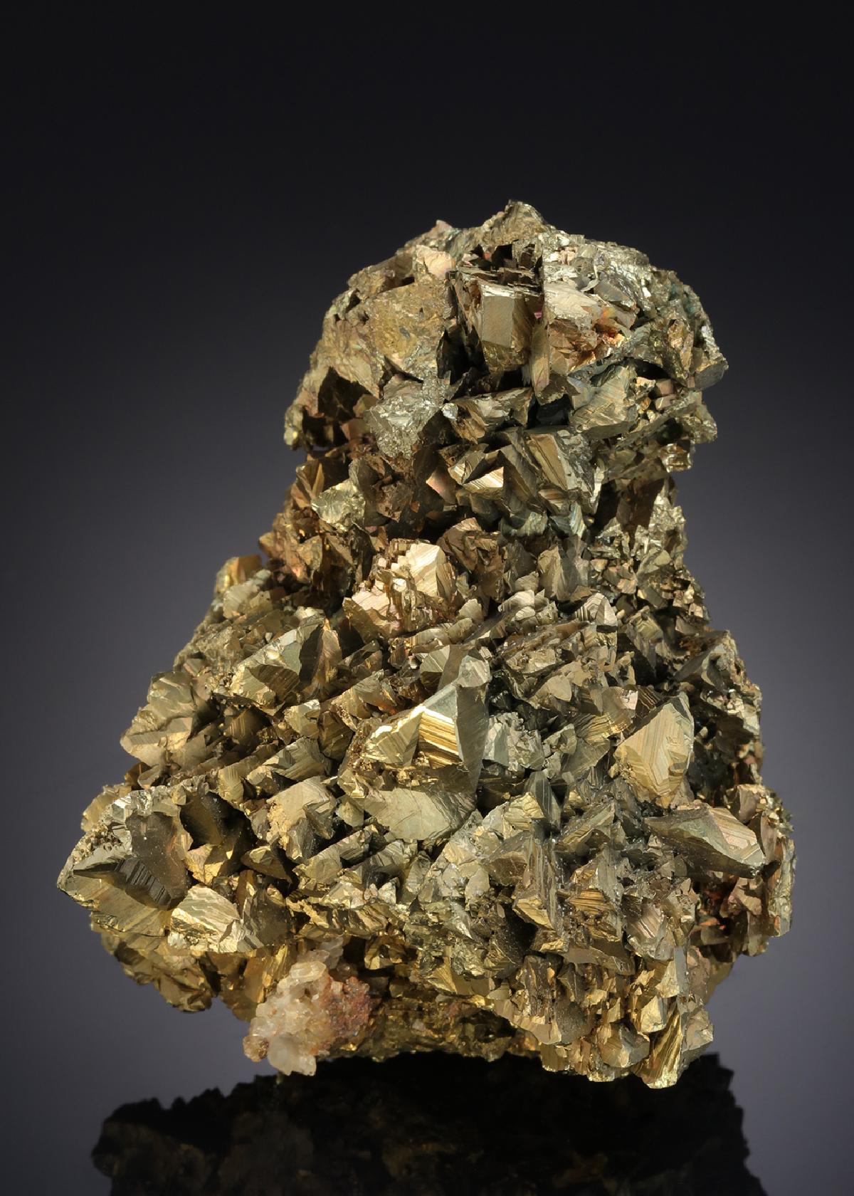 CC21205 specimen image