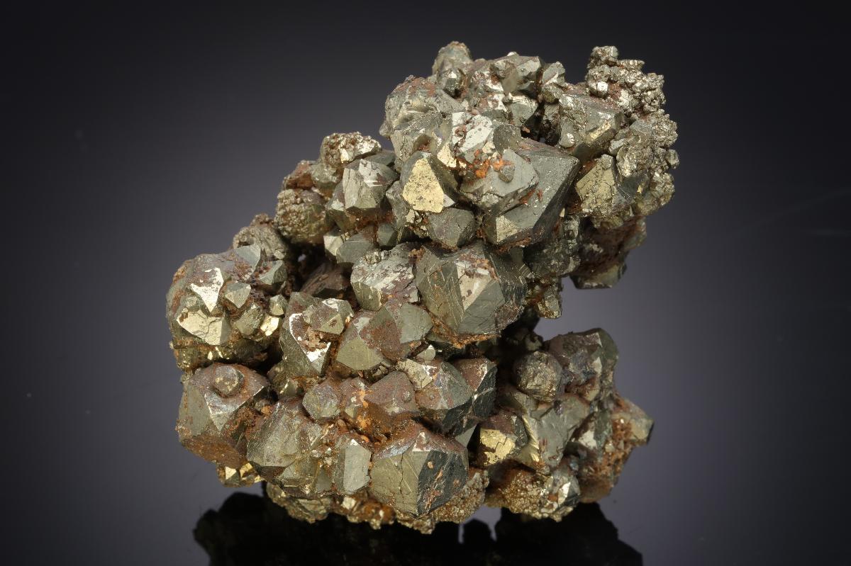 CC21209 specimen image
