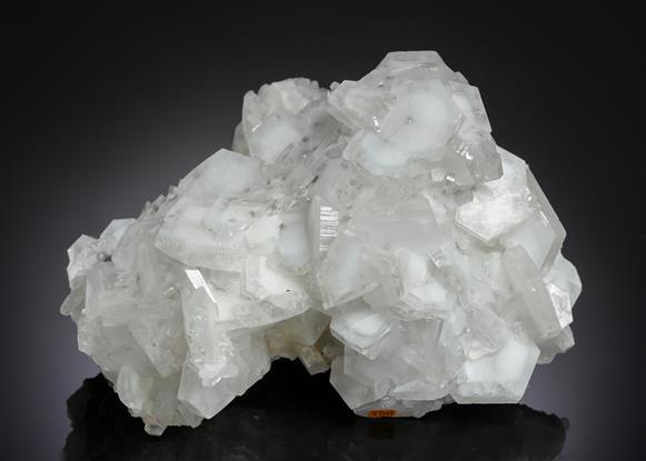 CC21216 specimen image