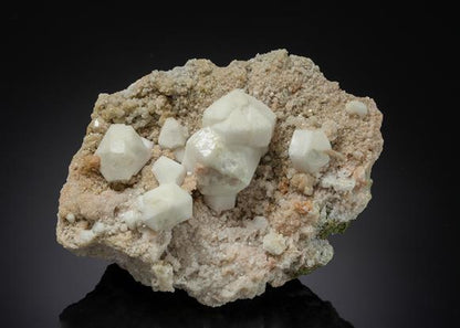 CC21226 specimen image