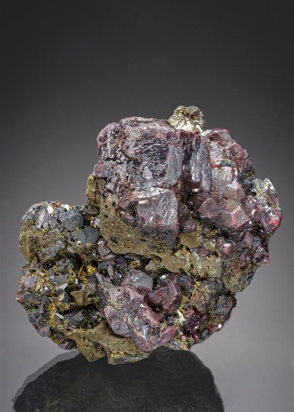 CC21237 specimen image