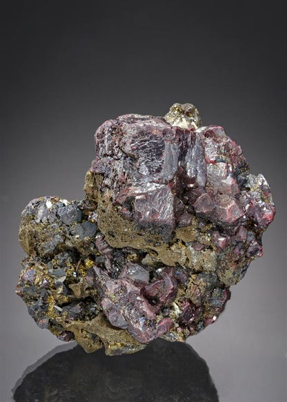 CC21237 specimen image