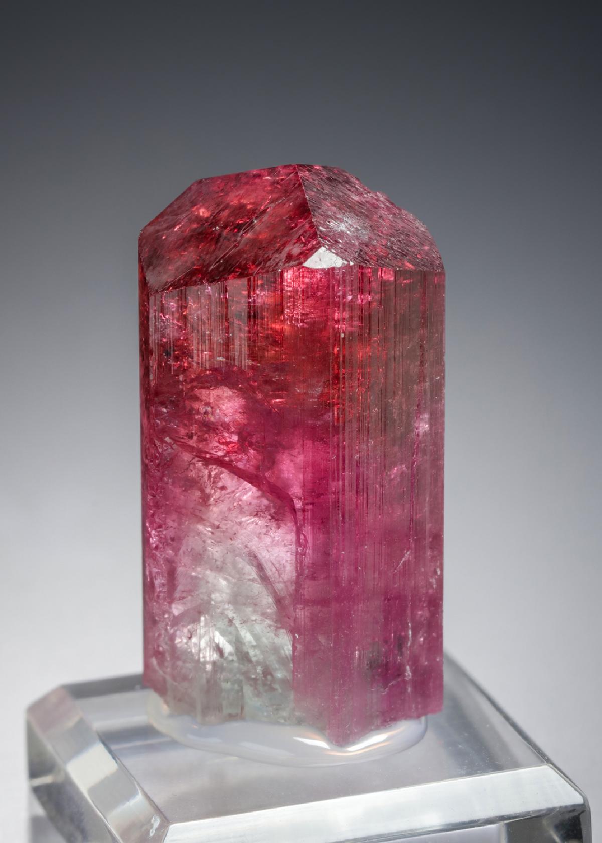 CC21238 specimen image