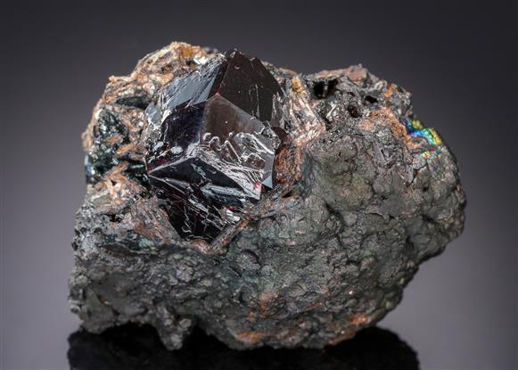 CC21241 specimen image