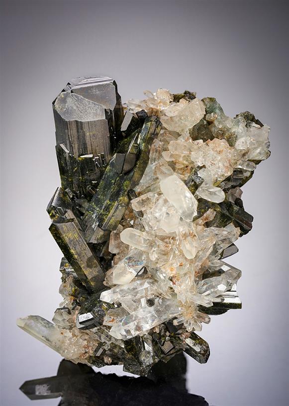 CC21242 specimen image