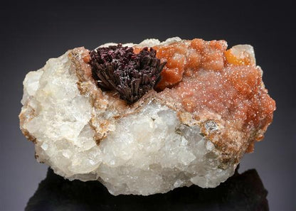 CC21251 specimen image