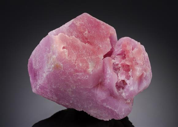 CC21255 specimen image