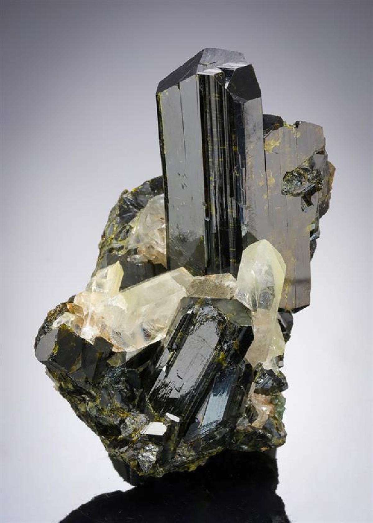 CC21256 specimen image
