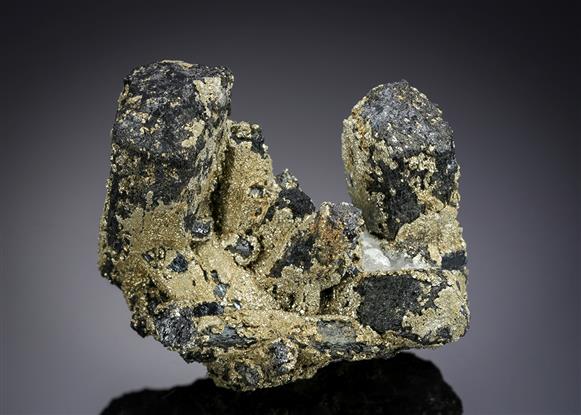 CC21273 specimen image