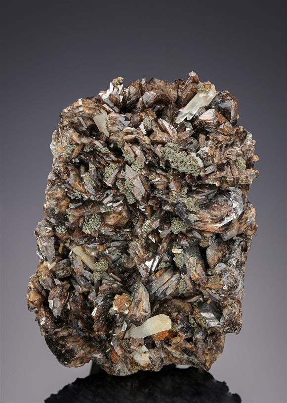 CC21274 specimen image