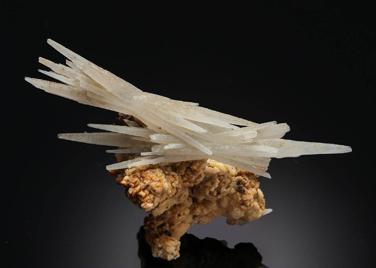 CC21276 specimen image